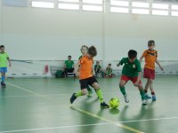 IMG_3777
